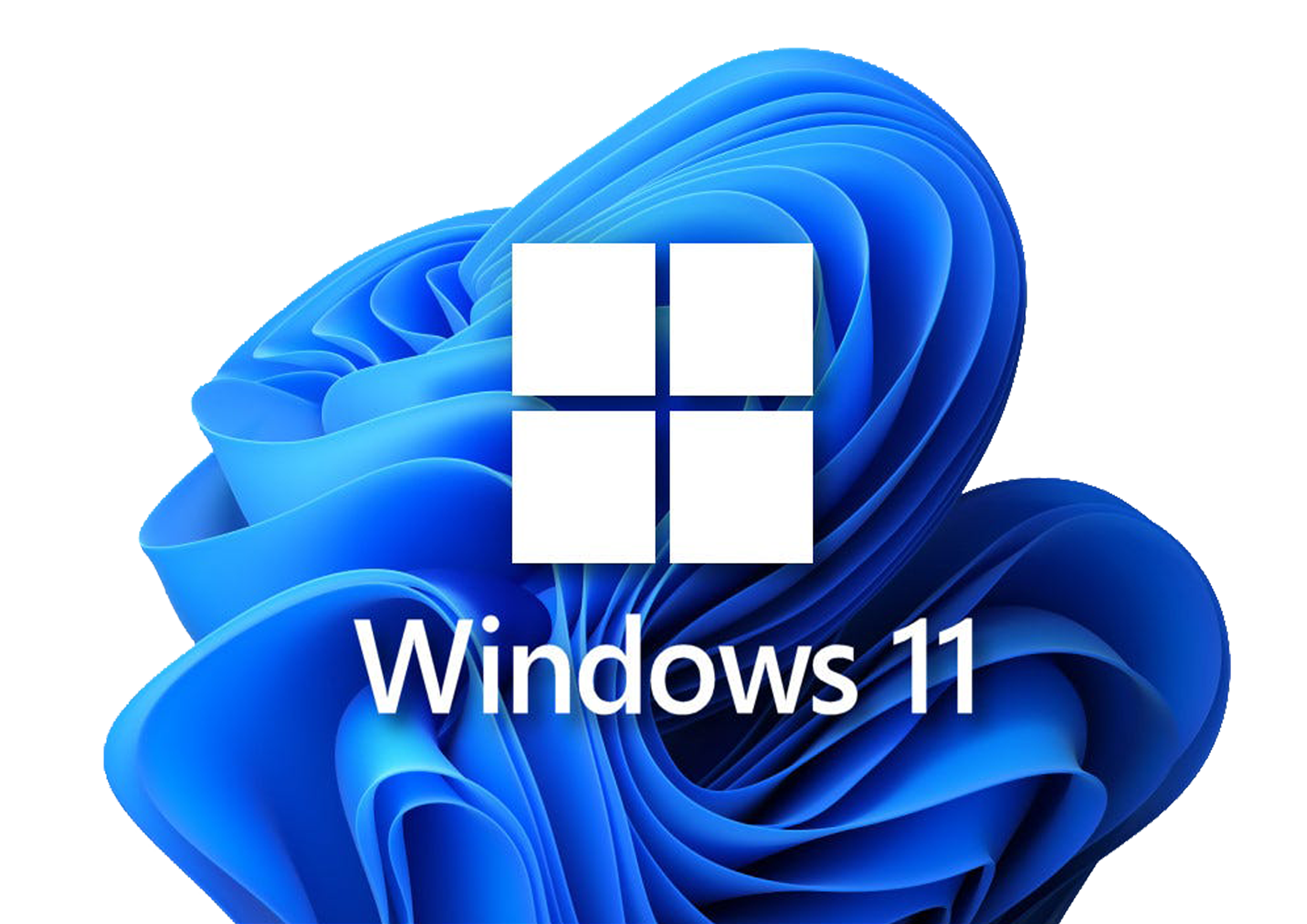 Windows 11